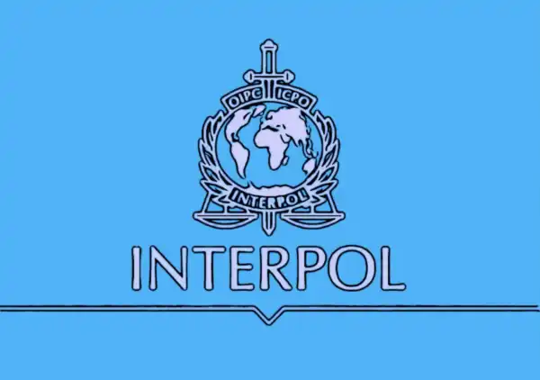 L’Interpol lancia l’allarme: frodi finanziarie sempre più sofisticate